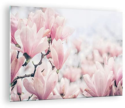 Bilder auf Glas Magnolie Blumen Rosa Glasbild 70x50cm Wandbilder Dekoration Wohnzimmer Schlafzimmer Küche Deko Klein Wanddeko Bild im Glas Wand Kunstdruck Art Modern Wall Decor Glasdruck GAA70x50-4396