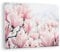 Bilder auf Glas Magnolie Blumen Rosa Glasbild 70x50cm Wandbilder Dekoration Wohnzimmer Schlafzimmer Küche Deko Klein Wanddeko Bild im Glas Wand Kunstdruck Art Modern Wall Decor Glasdruck GAA70x50-4396