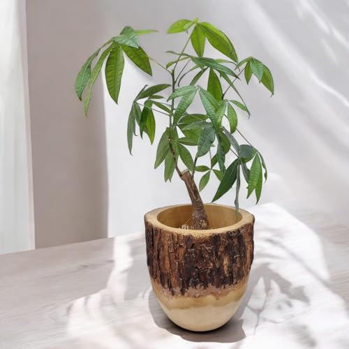 Mango Holz Übertopf Ø 20 cm | Handgefertigter Blumentopf aus Massivholz | Nachhaltiges Design für Wohnzimmer & Büro | Einzigartige Holzmaserung | Naturprodukt (Ø 20 cm)