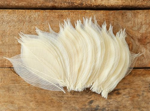 DUONGJAIS BRAND Real Leaves Natural Color 100 Pcs Mixed Colors 4-5 Inch Skeleton Leaves Rubber Tree Natural Scrapbook Craft, Card Wedding, DIY Crafts, Large Leaves