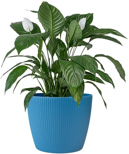 KONZEPT Grand pot de fleurs, bleu, structure rainurée, 30 cm, en plastique, idéal pour le salon, la cuisine et le balcon