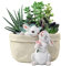 JYCRA Vaso da fiori a forma di coniglio, in resina, per piante grasse, piante grasse, vasi da giardino a forma di animale, per la casa, con foro