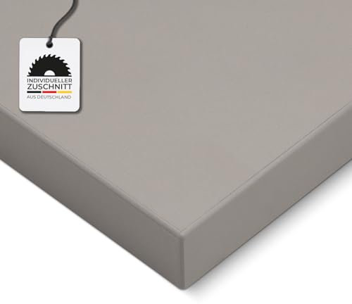 HausFux Spanplatte nach Maß - 2,5 cm stark, melaminbeschichtet, mit ABS-Kante - Made in Germany - Maßanfertigung - für Möbel- und Innenausbau (Platin Grau, 70 x 60 cm)