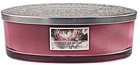 Heart & Home Duftkerze Ellipse 420g, 4 Dochte (Farbiges Glas) Oud Bloom