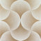 Paneele aus Polystyrol XPS, Deckenpaneele, 3D Wandpaneele, Styropor Dekoren, Decken Retro Vintage Wandverkleidung, 3mm dick - 50x50cm (20m²-80 Stück, Schells Gold)