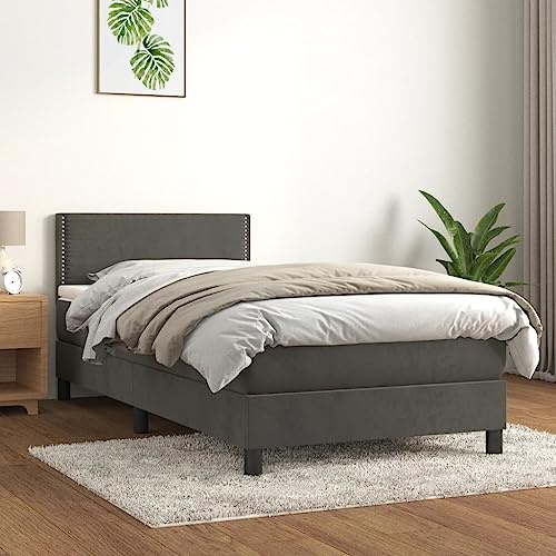 ZQQLVOO Bettgestell Familienbett Palettenbett Boxspringbett mit Matratze Dunkelgrau 90x190 cm Samt