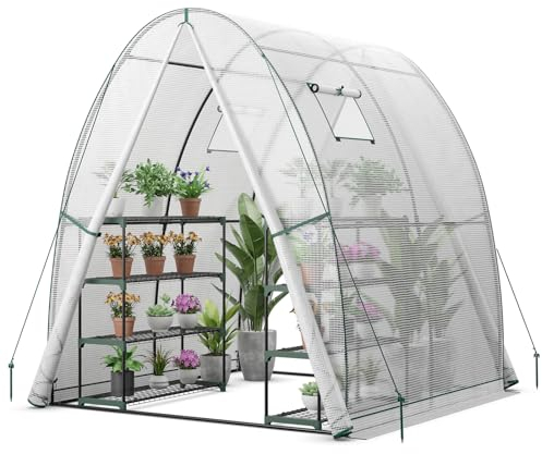 HOMASIS Serra Tunnel con Porta a Rullo e 2 Finestre, Serra da Giardino in PE e Telaio in Metallo, Serra da Balcone per Pomodori, 181 x 181 x 200 cm (Bianco)