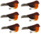 6x/12x Clip On Christmas Robins Cute Festive Xmas Tree Bird Decoration Ornament (6pcs, 10 * 4 * 3cm)