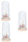 Cabilock 3 Stk Glasabdeckung Led-licht Pflanzendekoration Sternendekoration Mini-dekoration Dekoration Im Koreanischen Stil Ornamente Vor Wiederverwendbar Colorful Led Lichter