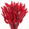 SCLLNDA 120 Stück Pampasgras Rot Trockenblumen Getrocknete Blumen Pampas Gras Schilfgras Blumenstrauß Flauschig für Wohnzimmer Deko Hochzeit Tischdeko