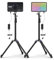 amaran Pano 60c 2-Light Kit 60W RGBWW, 22.220 Lux @ 0.5m, alimentato da USB-C PD, con Softbox, Griglie, Diffusori, Supporti e Borsa da trasporto per Fotografia e Video - Antracite