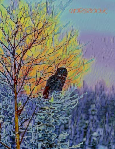 Owl Notebook: A composite notebook with an artistically designed cover