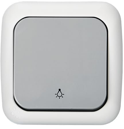 EGB Feuchtraum Schalter Aufputz, IP54 spritzwassergeschützt, Installation mit Steckklemmen, grau (Taster ohne Beleuchtung)