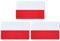 JBCD Magnet-Aufkleber mit polnischer Flagge, für Auto, SUV, LKW, 3 Stück, 7,6 x 12,7 cm