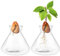 Emsiok Avocado-Samenvasen, transparent, Blumentopf, für den Innen- und Außenbereich, 2 Stück