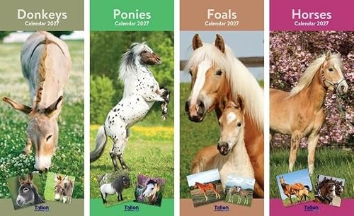 2026 Super Slim Month to View Spiral Bound Hanging Wall Calendar Home Office (Foals)
