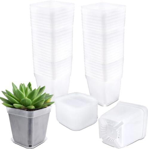 AONYIYI Lot de 50 pots de fleurs carrés transparents en plastique transparent avec soucoupe pour intérieur, extérieur, jardin, bureau, balcon - 7,6 cm