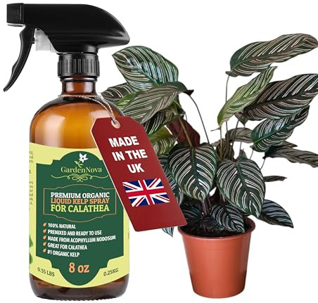GARDENNOVA Professional Organic Liquid Kelp Spray for CALATHEA Plants - 8 oz - Ready-to-Use Fully Organic Seaweed & Kelp Fertilizer Mist
