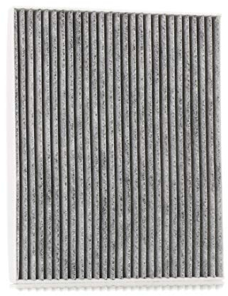 RIDEX Innenraumfilter 424I0041 Corsa D Schrägheck (S07) Adam (M13) 266mm 218mm