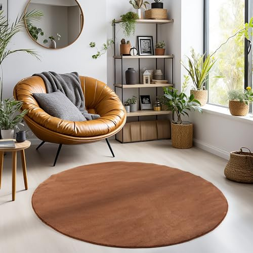 Carpetsale24 Teppich Wohnzimmer Einfarbig Moderne Design Braun 120 cm Rund - rutschfest Kurzflor Teppich für Schlafzimmer Extra Weich und Flauschig - Waschbarer Teppich Esszimmer Küche