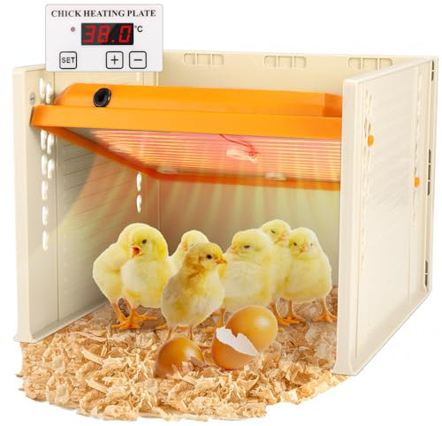 Chick Brooder Heating Plate, Brooder Heater For Chicks, Egg Incubator with Adjustable Height and Angle, Intelligent Chicken Heat Lamp, Warmer for 15 Baby Chick & Duckling, Like Mother Hen, 10x10