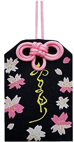 Danlai 1 Pc Omamori Prier Fortune Beauté Santé Sûr Transparent Richesse Garde Pendentif Porte-clés Couple Cadeau