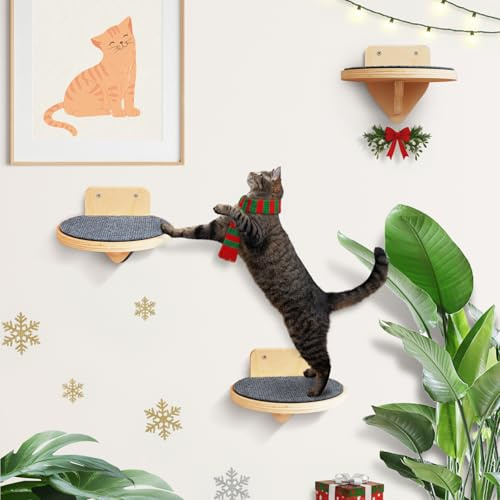 XL Premium Kletterwand Katzen aus Birkenholz | 3er-Set Katzentreppen mit Kratzflächen | Wandmontage Katzenleiter | Kletternetz für Katzen