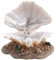 Zerodis Aquarium Shell Ornament, Harz Aquarium Shell Pearl Bubbler Korallenriff Belüftungsaktion Landschaft Künstliche Aquarium Dekoration