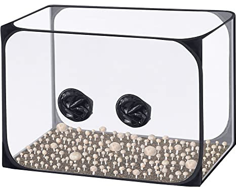 Tmovjxv 90,2 x 59,7 x 59,7 cm Still Air Box Mykologie Pilz Anzuchtbehälter Tragbare Grow Box Pilze Aufzuchtzelt Kit für Sporen Gartenbaubedarf