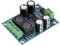 ASHATA XH-M311 Mini TPA3118 DC10-24V 60W Tablero de Amplificador de Audio Digital Módulo de Amplificador de Audio Mono, Class D Amplificador de Potencia Digital para Altavoz