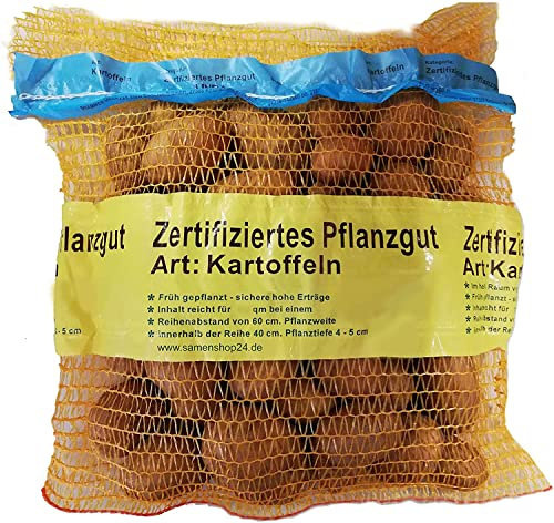 Samenshop24® Pflanzkartoffeln Sorte: Linda, Inhalt: 2,5 kg (ca. 35 Stück), Premium Saatkartoffeln, Zertifiziertes Pflanzgut, das Original vom Fachmann
