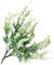 Zerodeko 2St Künstlicher Lavendel mit Seidenblumen künstliche Blumen Pflanzen kunstpflanze kunstplflanze Pflanzendekor lebensechtes Blatt Fotografie-Requisiten Anlage Weiß