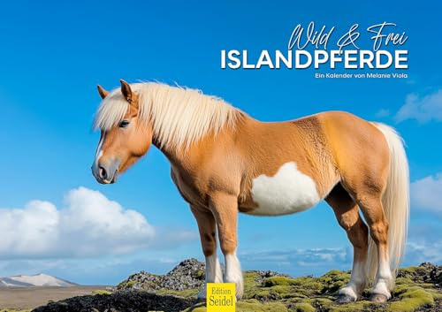 Edition Seidel Premium Kalender Wild & Frei Islandpferde 2026 Format DIN A3 Wandkalender Island Tiere Pferd Islandpferd Reiten Natur Melanie Viola