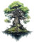 Samunshi® Wanddeko Yggdrasil Bunt Wallart Wandtattoo Asgard für Wohnzimmer Küche Wandaufkleber Wandsticker Runen Odin Thor56x70cm