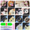 Diamond Painting Lesezeichen Katze Und Hunde - 12 Stück 5D Lesezeichen Diamond Painting Basteln Bookmark Mädchen Jungen Personalisierte für Erwachsene