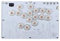 CPAOWEHF High Performances Gaming Keypad LED Keyboards for Fighting and Competitive Game,for P4/Steam