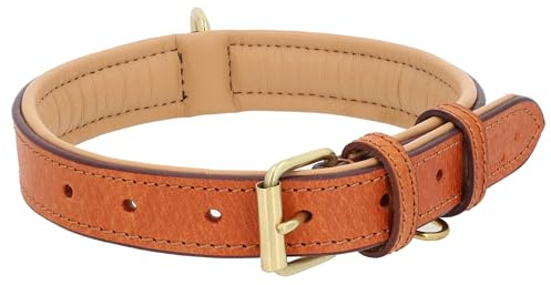 Gusti Hundehalsband Leder - Jacky Lederhalsband Hund Haustier Vierbeiner Größe S braun Leder