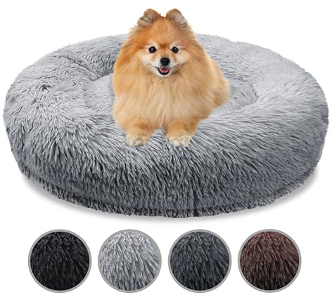 bluzelle Orthopädisches Hundebett für Kleine Hunde & Katzen, Hellgrau | XS-60 cm