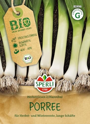 Sperli BIO Porreesamen Herbstriesen 2/Hannibal 81996, Gemüsesaat | Frosthart, für Freiland und Hochbeet