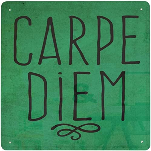 Bonoff Carpe Diem Cita inspiradora Citas motivacionales positivas cocina oficina positiva decoración vintage póster arte pared cartel metal 8 x 12 pulgadas