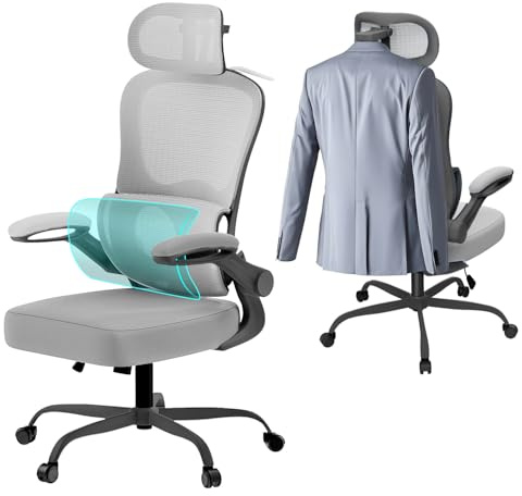 Aevoriax Ergonomischer Bürostuhl, dynamische Lendenwirbelstütze, Dickes weiches Sitzkissen, geeignet für Home-Office, mehrfach verstellbare Kopfstütze – schwarzer Rahmen mit grauem Netz