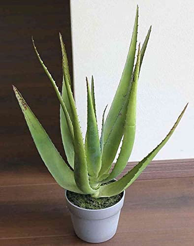 artplants.de Künstliche Aloe NAMIKA im Topf, grün, 50cm - Deko Sukkulente - Kunst Pflanze