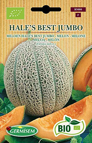 Germisem Biologico Hale's Best Jumbo Semi di Melone 2 g