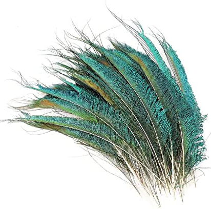 Weddecor 10pcs 10-12 Natural Peacock Long Tail Beautiful Feathers | Ideal for Arts and Crafts, Home, Wedding, Costumes, Parties, Carnival, Holiday, DIY Decoration