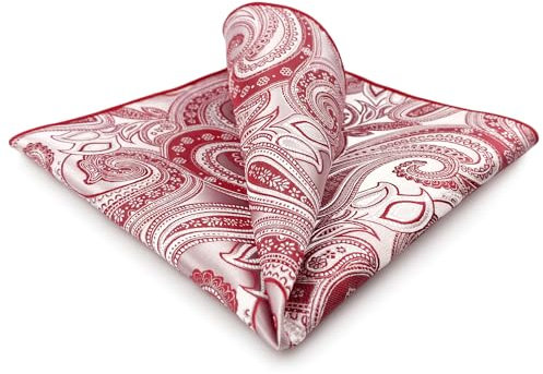 S&W SHLAX&WING Carré de poche homme Paisley argent rouge et rose bord coloré idéal pour cadeau