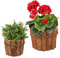 Relaxdays Blumentopf 2er Set, Spießtanne mit Rinde, außen & innen, rund, 2 Größen, Holztopf für Pflanzen & Blumen, Natur