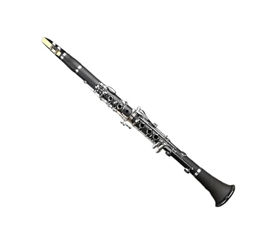 Anfänger Klarinette Klarinette Für Erwachsene Und Anfänger 17 Tonarten B-Dur Erste Schritte Mit Tragbaren Klarinetteninstrumenten