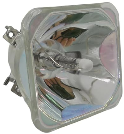 COOLHOOD Lampadina di ricambio per proiettore ad alta luminosità per UM351W UM361X UM351Wi UM352Wi Dissipazione del calore Accessori per esposizioni Lampada diapositiva educativa
