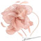 Alaoo Fascinator Hüte für Damen, Damen Fascinators Hut, Pillbox Hut mit Schleier Stirnband für Hochzeit Tea Party Mesh Blume Cocktail Party (Farbe: 01-Rosa)