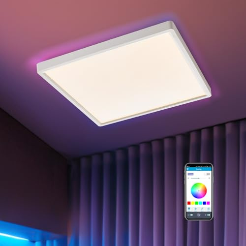 Warmiehomy RGB LED Ceiling Light Dimmable, Smart Light with Bluetooth Speaker,APP Control,24W,Flush Ceiling Lamp for Living Room,Bedroom,3000-6000K,Square,30CM